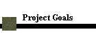 Project Goals